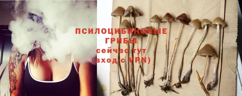 Псилоцибиновые грибы Psilocybine cubensis  ссылка на мегу рабочий сайт  Алагир  где продают  