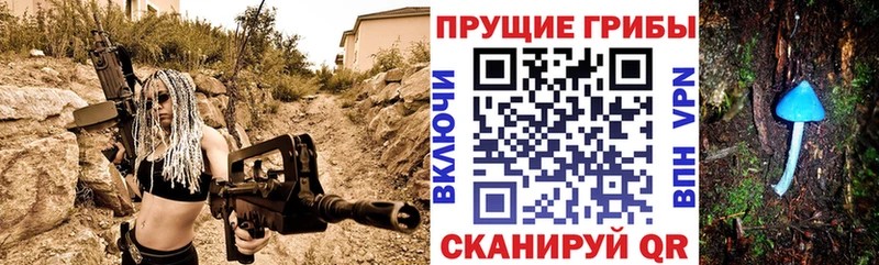 Псилоцибиновые грибы Psilocybe Алагир